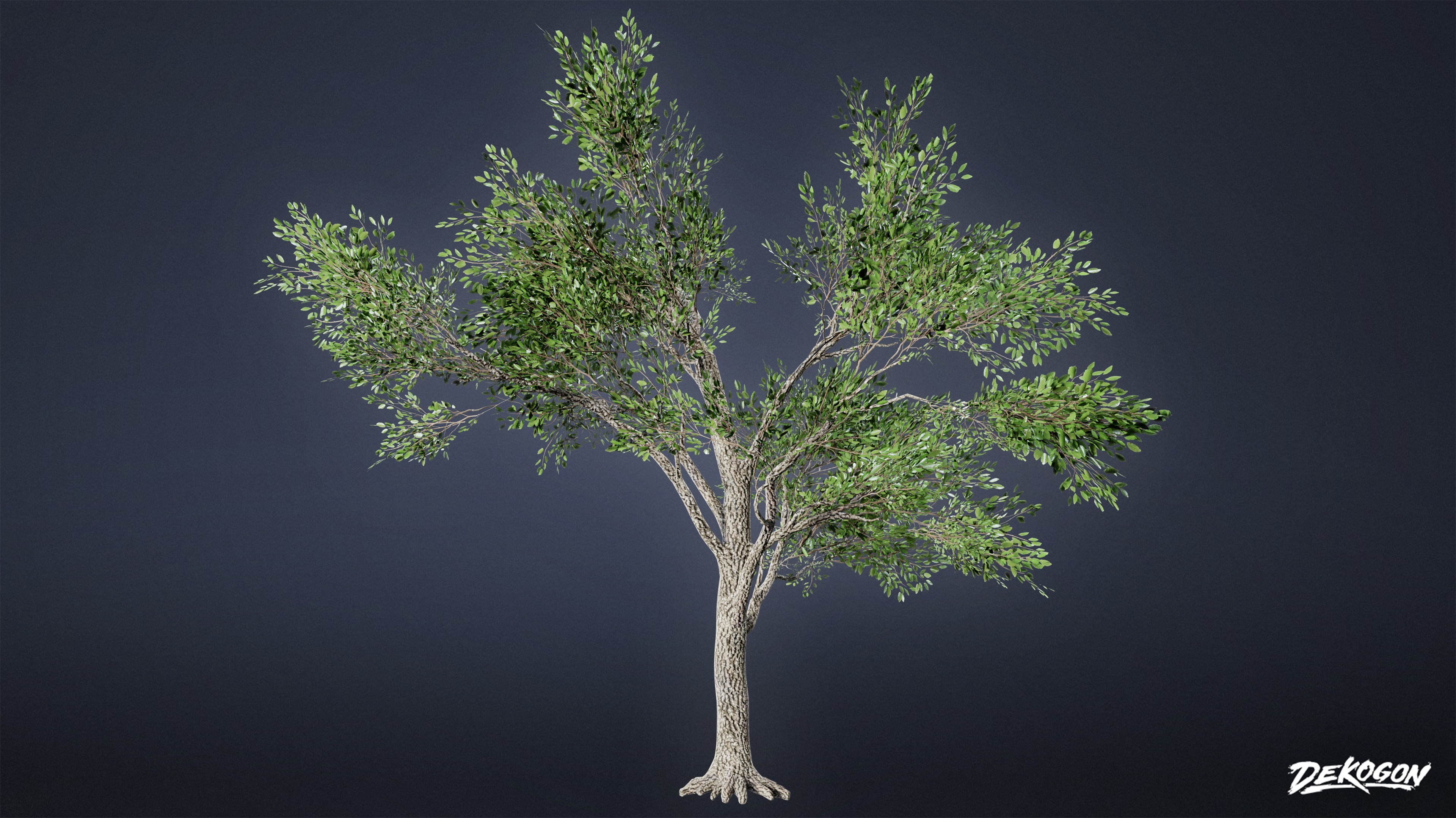 FOLIAGE - Southern Oak 01 - LOW POLY AND NANITE Low-poly 3D model_6