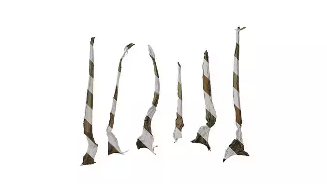 Anydrafts Musella lasiocarpa Leaf 02