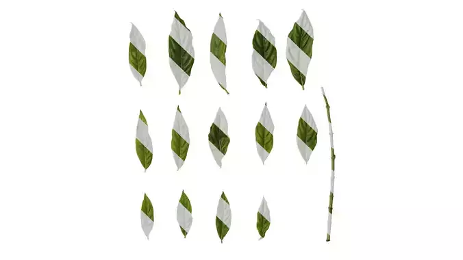 Anydrafts Hydrangea macrophylla Leaf 04