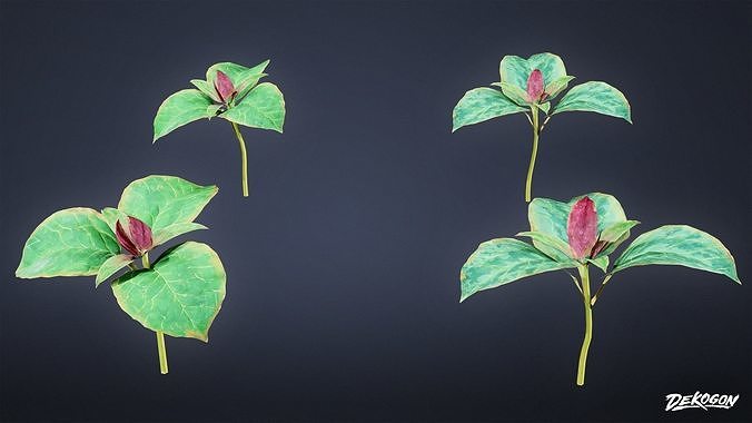 FOLIAGE - Toad Shade 01 - LOW POLY Low-poly 3D model