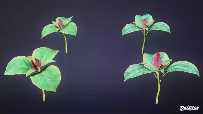 FOLIAGE - Toad Shade 01 - LOW POLY