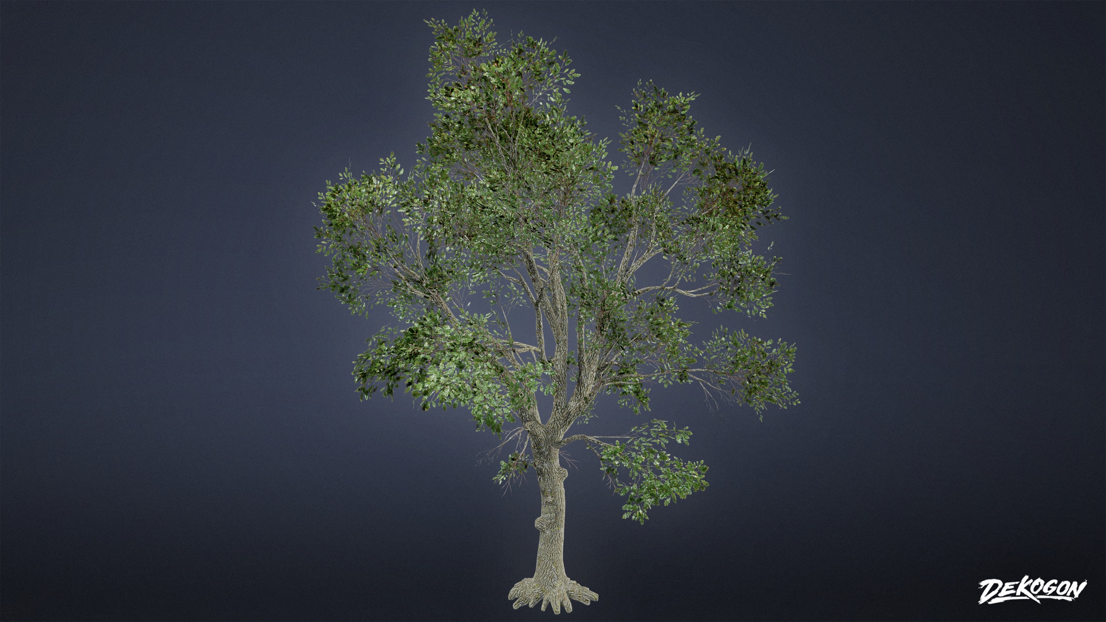 FOLIAGE - Tree Set 03 - LOW POLY AND NANITE Low-poly 3D model_2