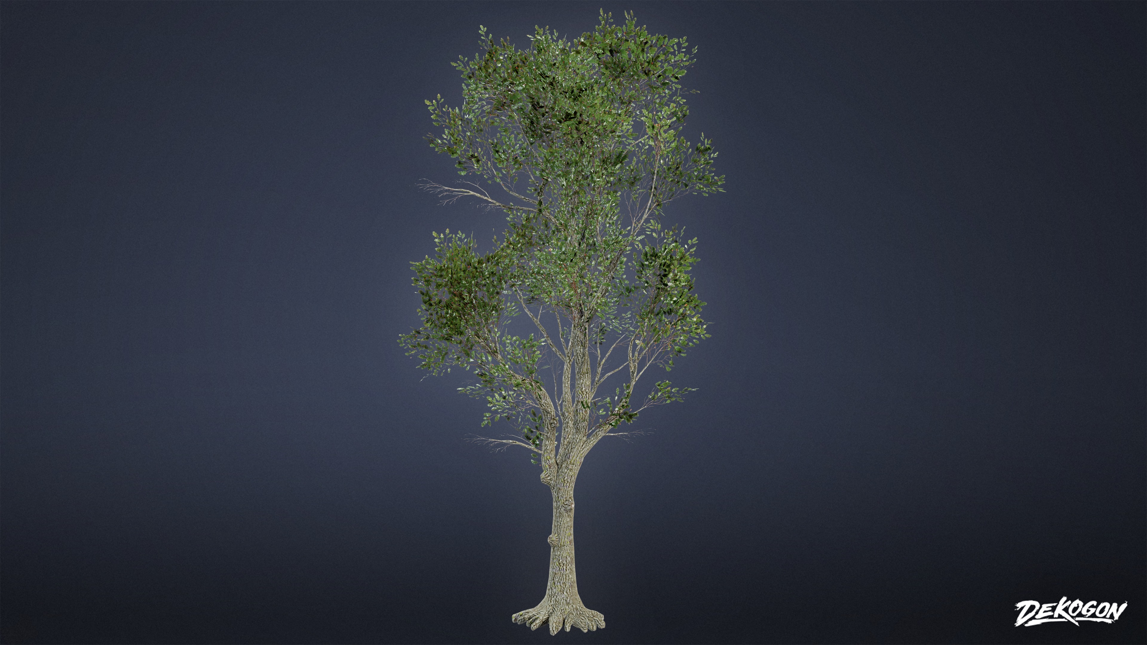 FOLIAGE - Tree Set 03 - LOW POLY AND NANITE Low-poly 3D model_5