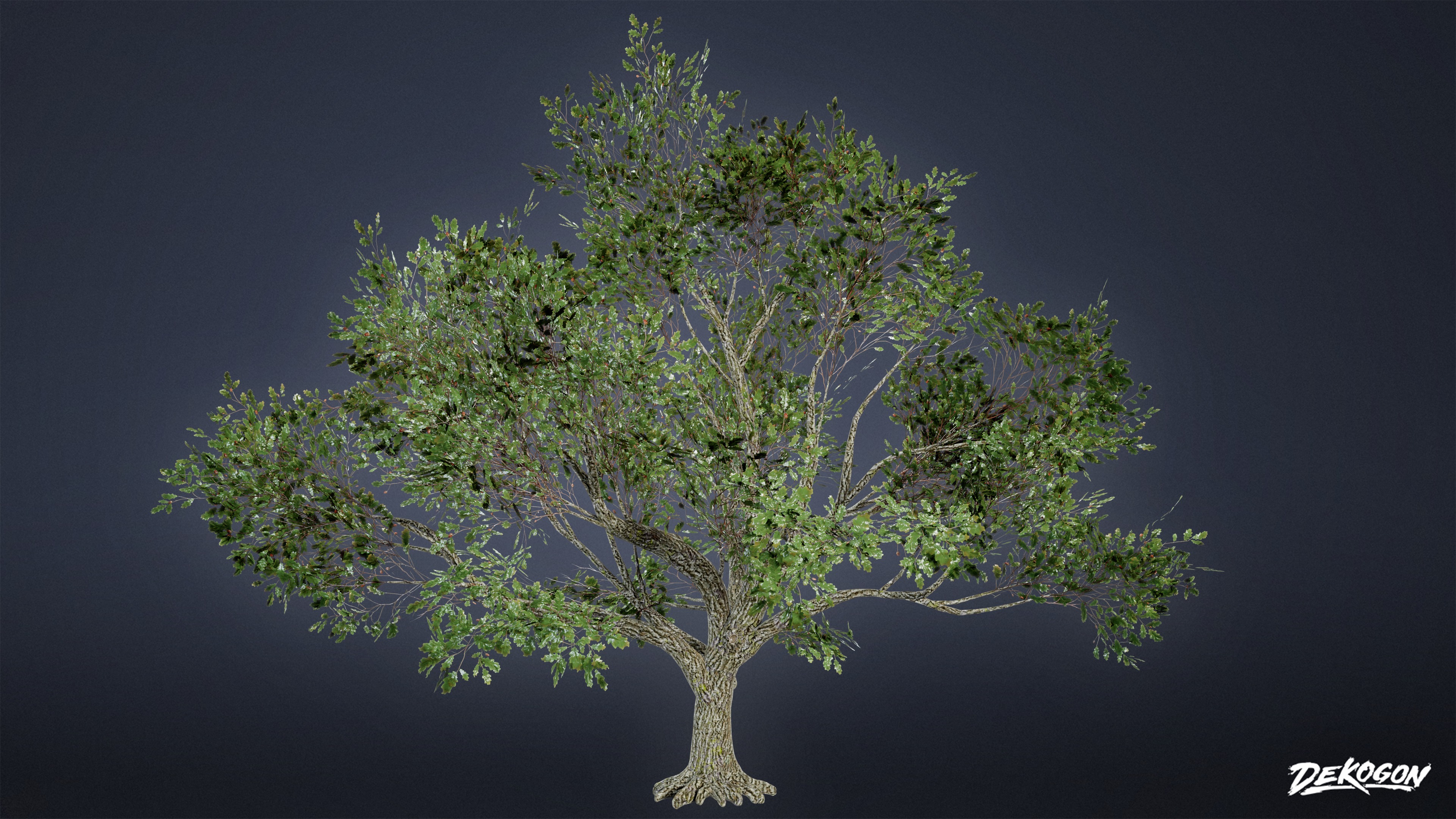 FOLIAGE - Tree Set 03 - LOW POLY AND NANITE Low-poly 3D model_4