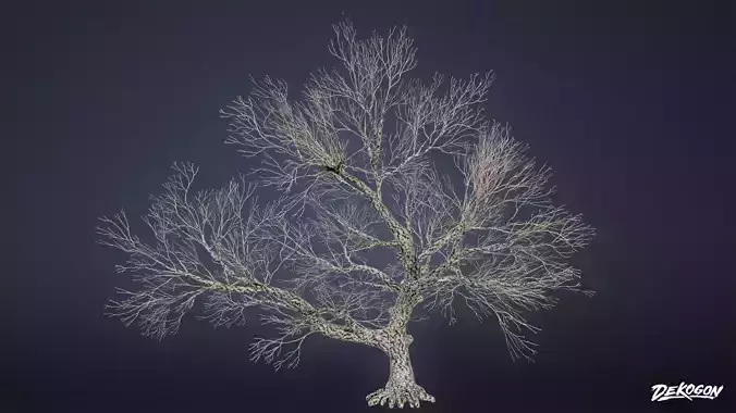 FOLIAGE - Trees 05 - LOW POLY AND NANITE