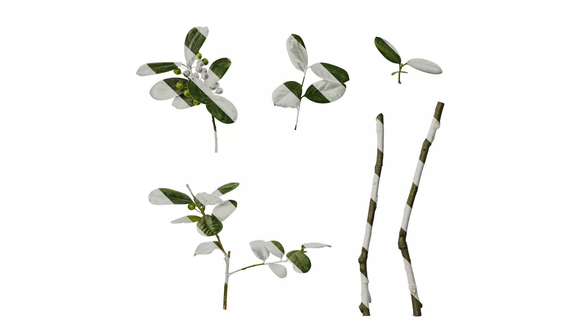 Anydrafts Ilex cornuta Atlas 01 Texture