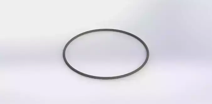 O Ring Vedabras 12044