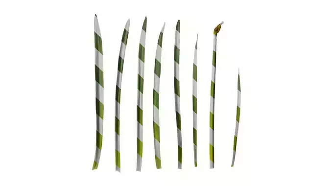 Anydrafts Narcissus pseudonarcissus Leaf 02