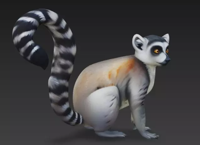 Lemur 3D model_0