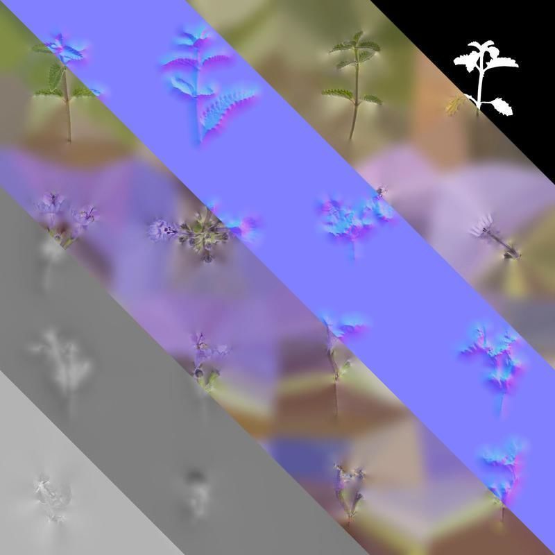 Anydrafts Nepeta cataria Atlas 02 Texture_8