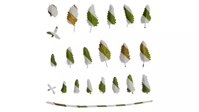 Anydrafts Nepeta cataria Leaf 01