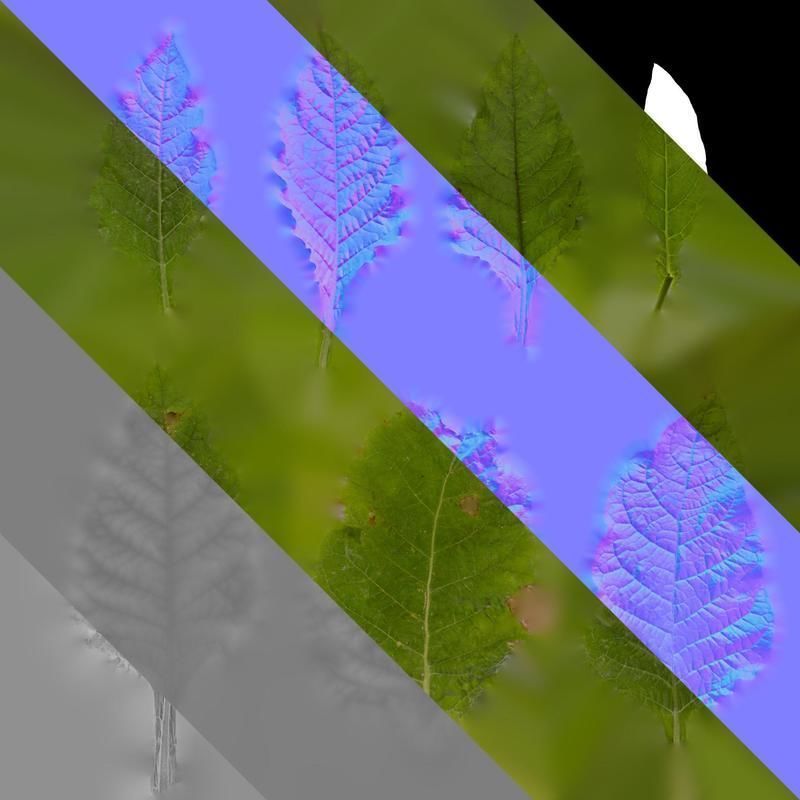 Anydrafts Nicotiana alata Leaf 01 Texture_8