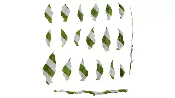 Anydrafts Nicotiana alata Leaf 03