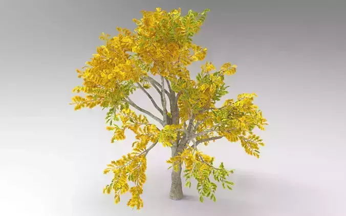 Oak Autumn tree 3D model
