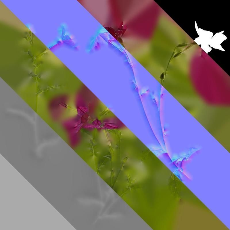 Anydrafts Nicotiana tabacum Atlas 06 Texture_8