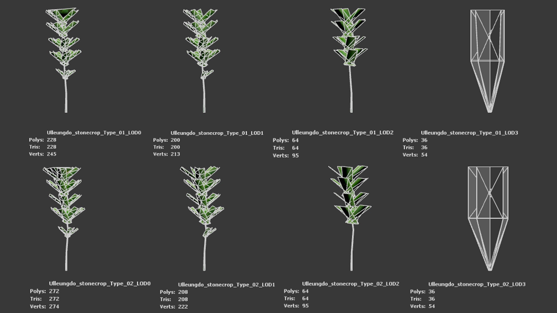 Korean Endemic Species Plant - 4 Ulleung stonecrop Flower Low-poly 3D model_9