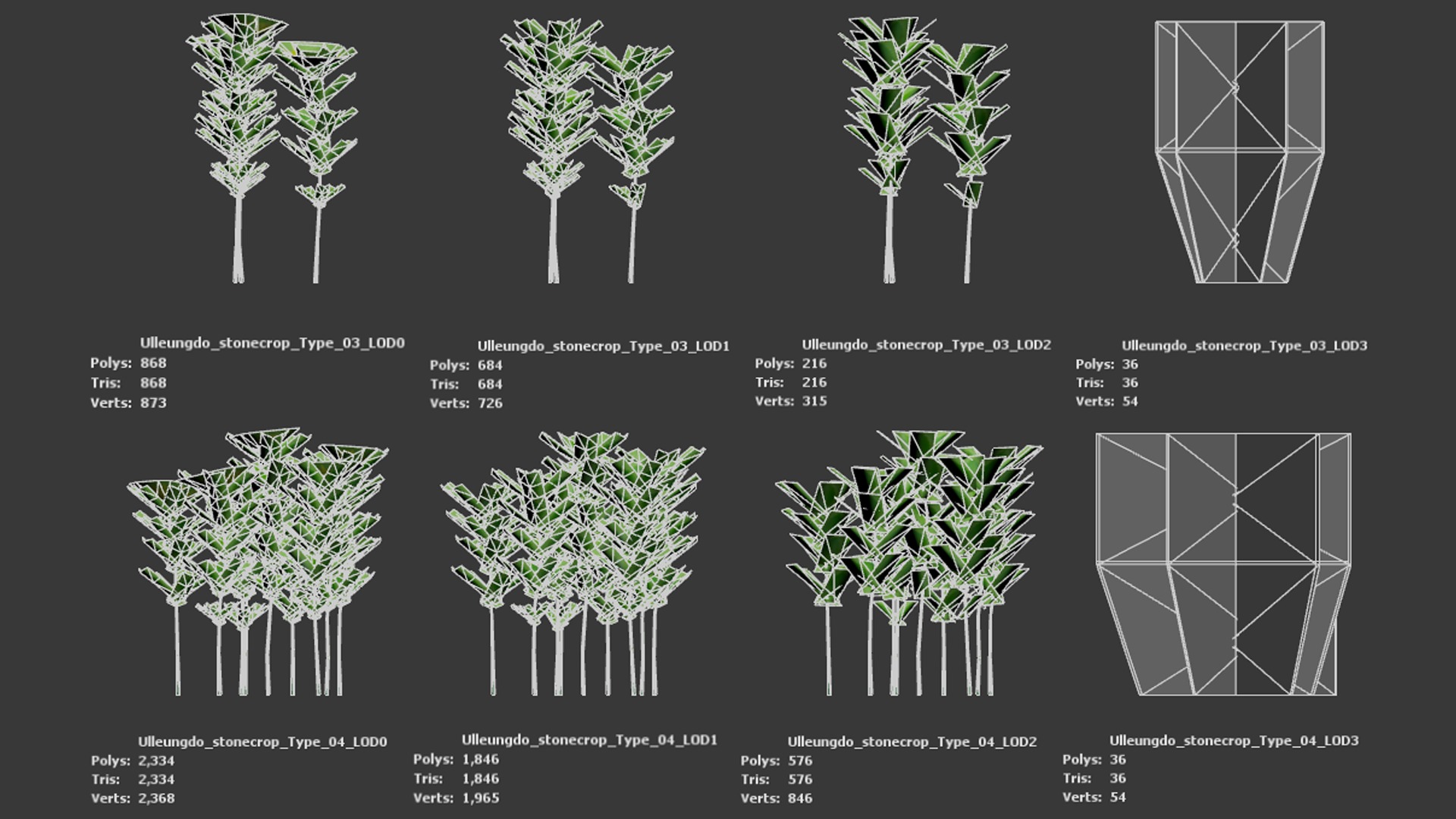 Korean Endemic Species Plant - 4 Ulleung stonecrop Flower Low-poly 3D model_10