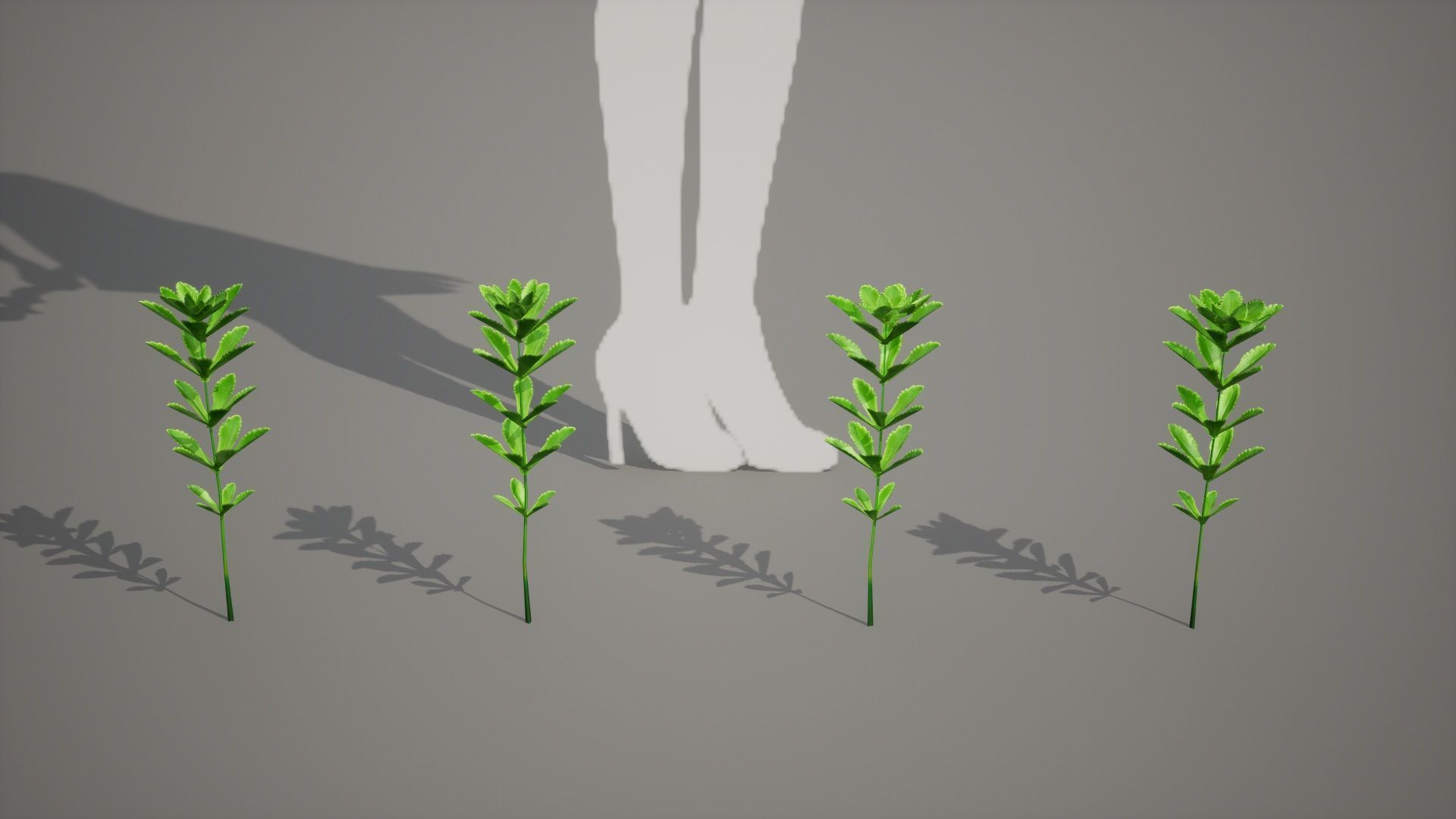 Korean Endemic Species Plant - 4 Ulleung stonecrop Flower Low-poly 3D model_5