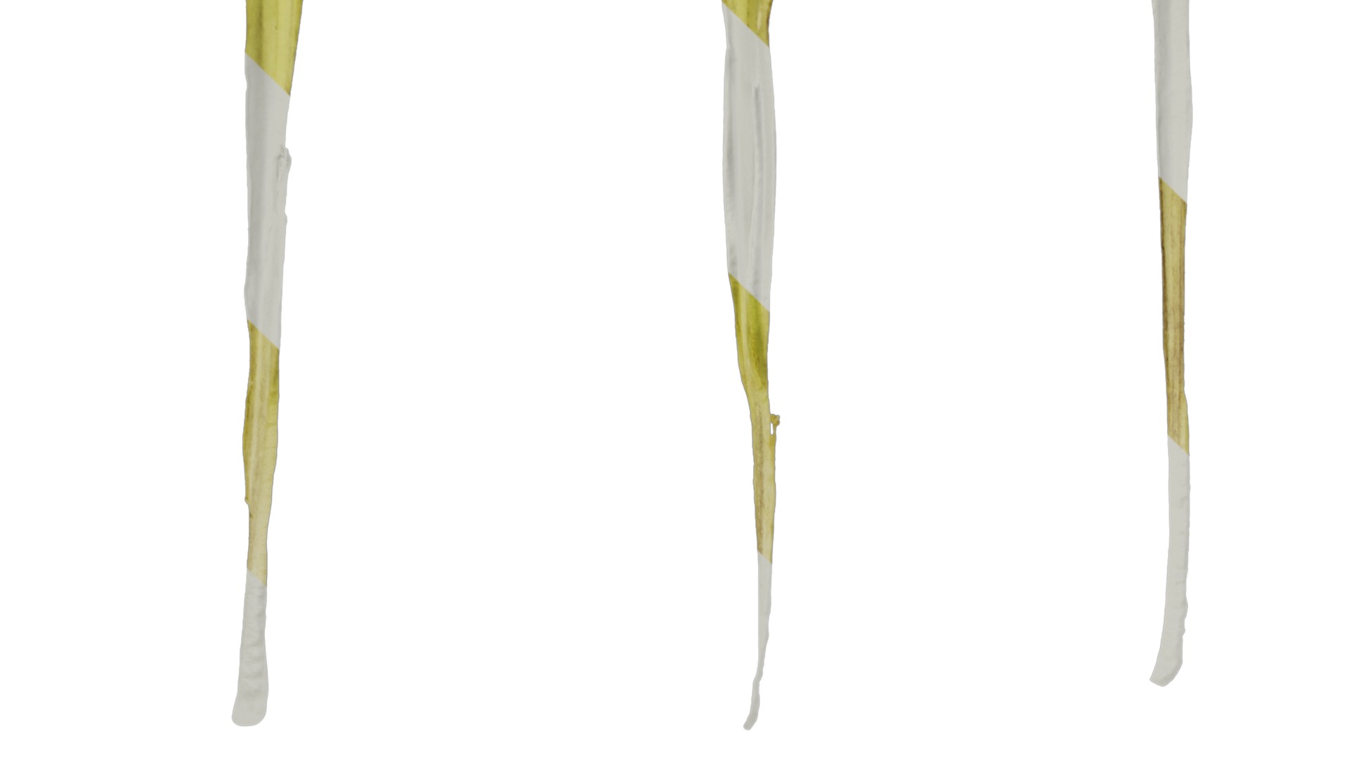 Anydrafts Nicotiana tabacum Flower 06 Texture_3