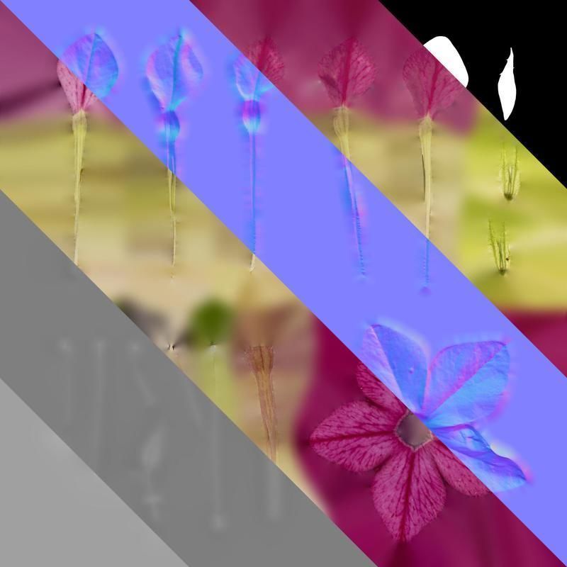 Anydrafts Nicotiana tabacum Flower 06 Texture_8