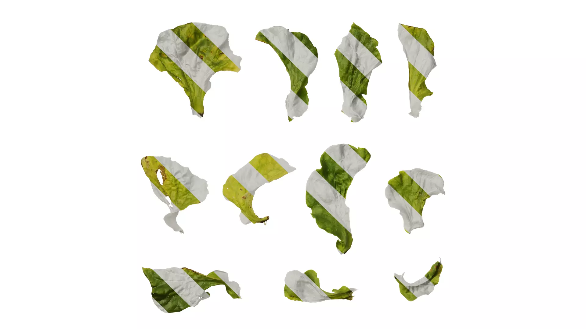 Anydrafts Nicotiana tabacum Leaf 03 Texture_0