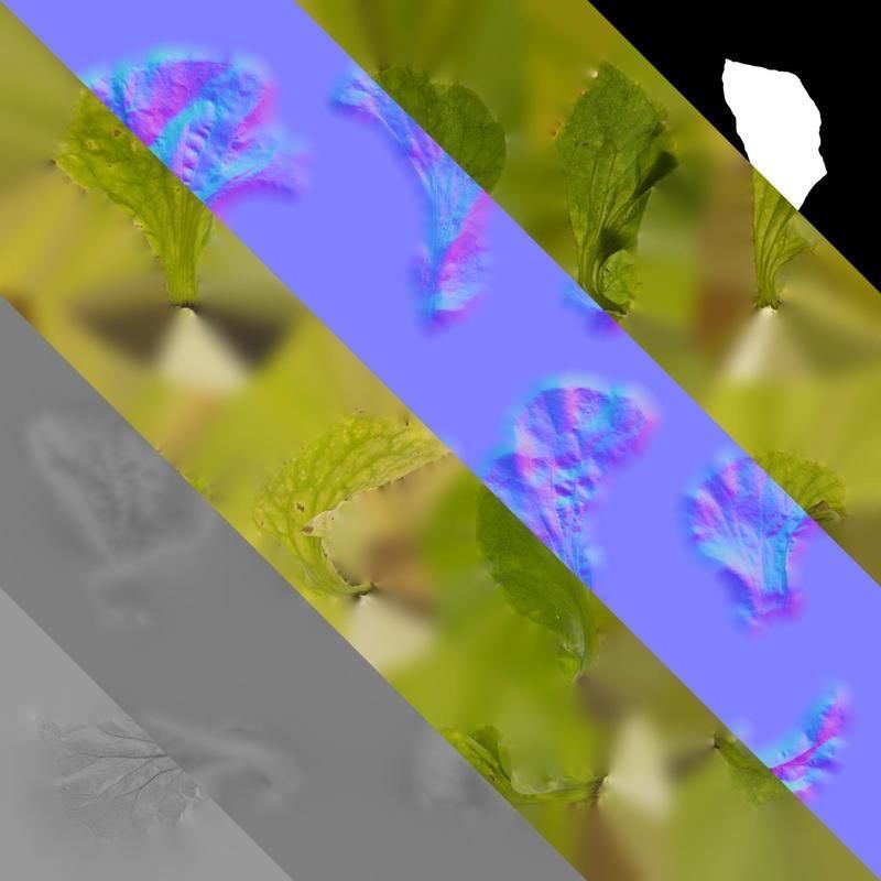 Anydrafts Nicotiana tabacum Leaf 03 Texture_8