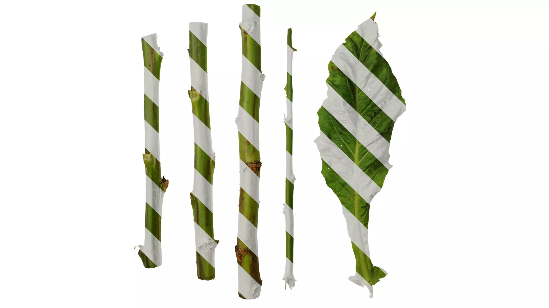 Anydrafts Nicotiana tabacum Leaf 05 Texture_0