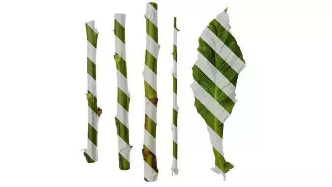 Anydrafts Nicotiana tabacum Leaf 05