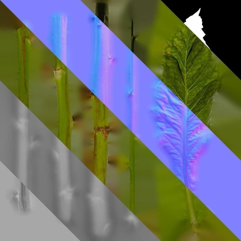 Anydrafts Nicotiana tabacum Leaf 05 Texture_8