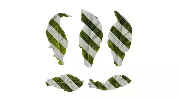 Anydrafts Nicotiana tabacum Leaf 10