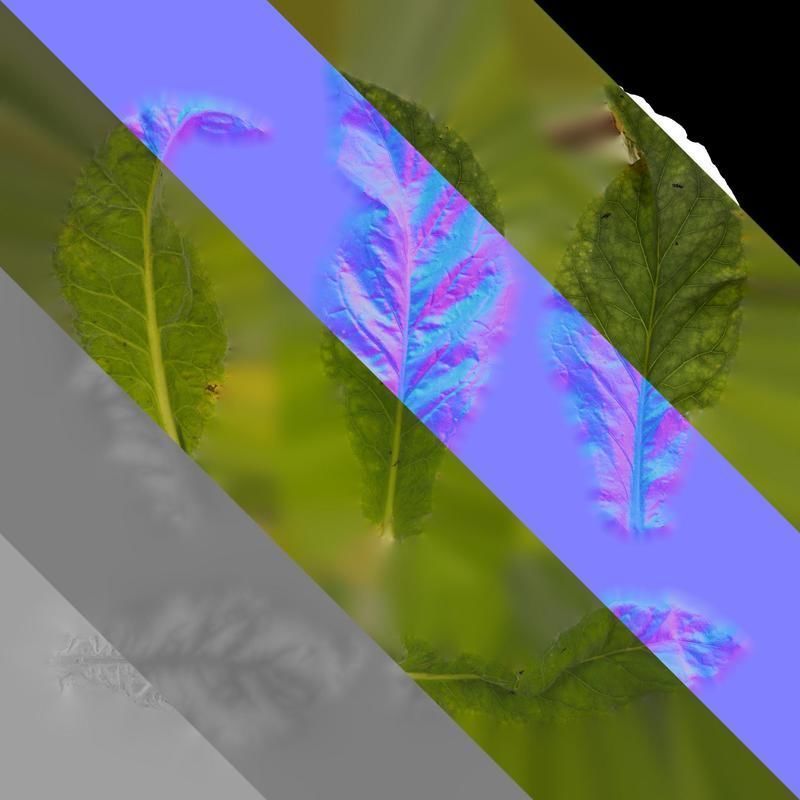 Anydrafts Nicotiana tabacum Leaf 10 Texture_8