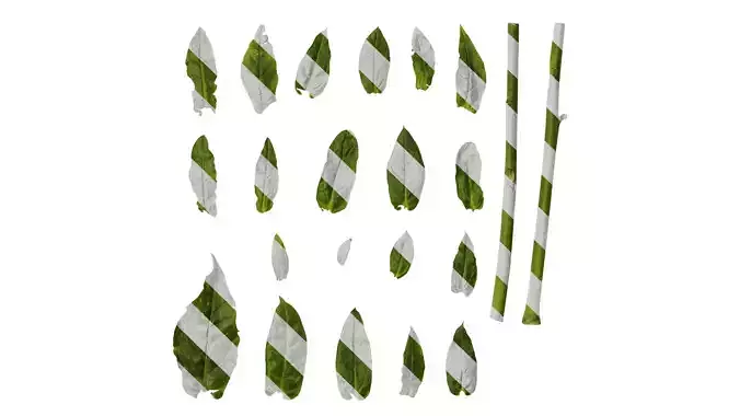 Anydrafts Nicotiana tabacum Leaf 12