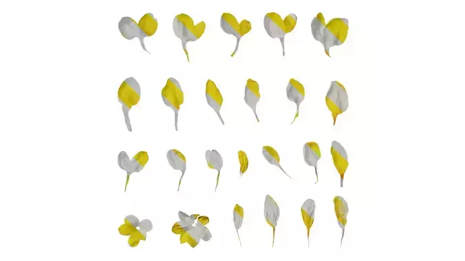 Anydrafts Jasminum nudiflorum Flower 03 Texture