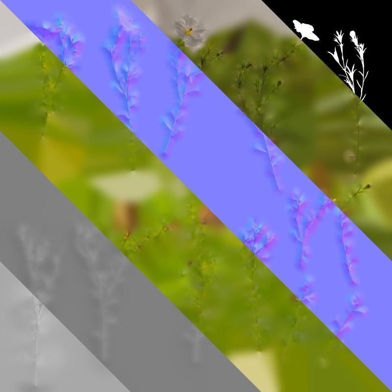 Anydrafts Nierembergia Atlas 02 Texture_8