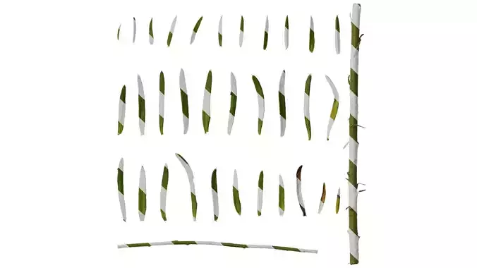 Anydrafts Nierembergia Leaf 01 Texture