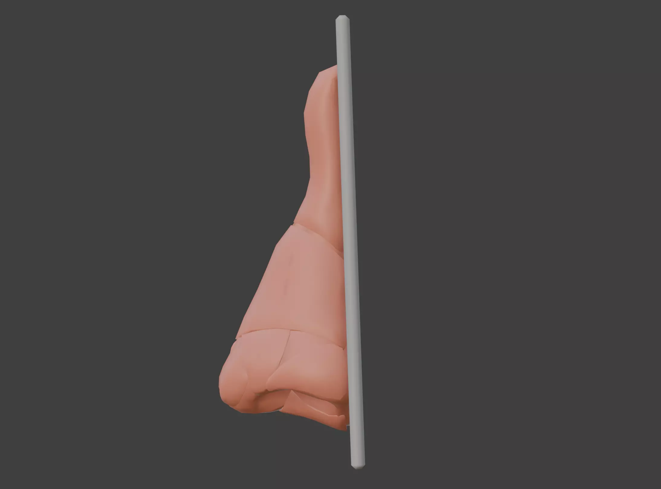 3D Nose Anatomy Model 3D print model