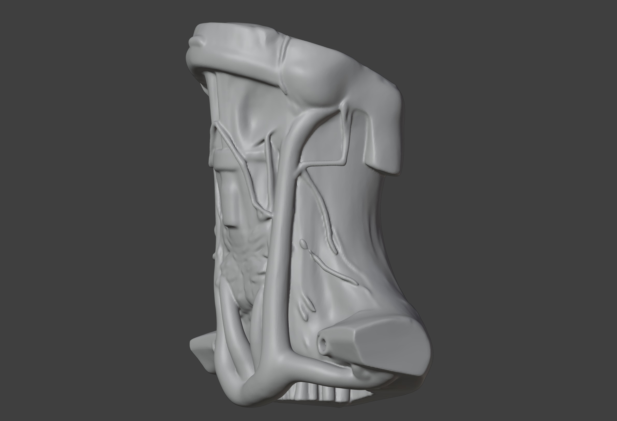 3D Neck and Throat Model with Muscles Veins and Arteries 3D print model_3