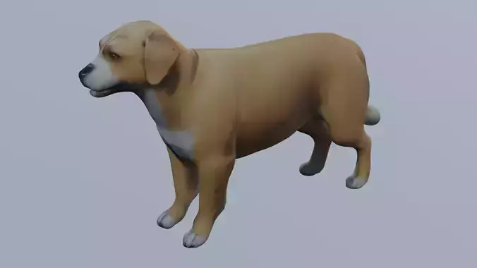 Realistic Dog 3D Model - Unrigged