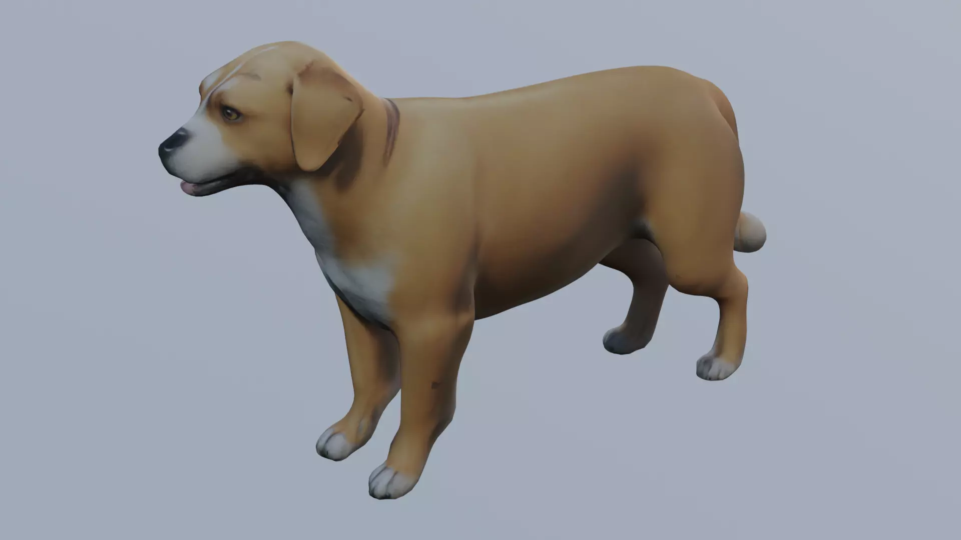 Realistic Dog 3D Model - Unrigged 3D model