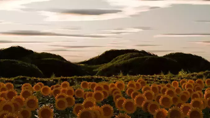 Sunflower field and Mountain 3D model