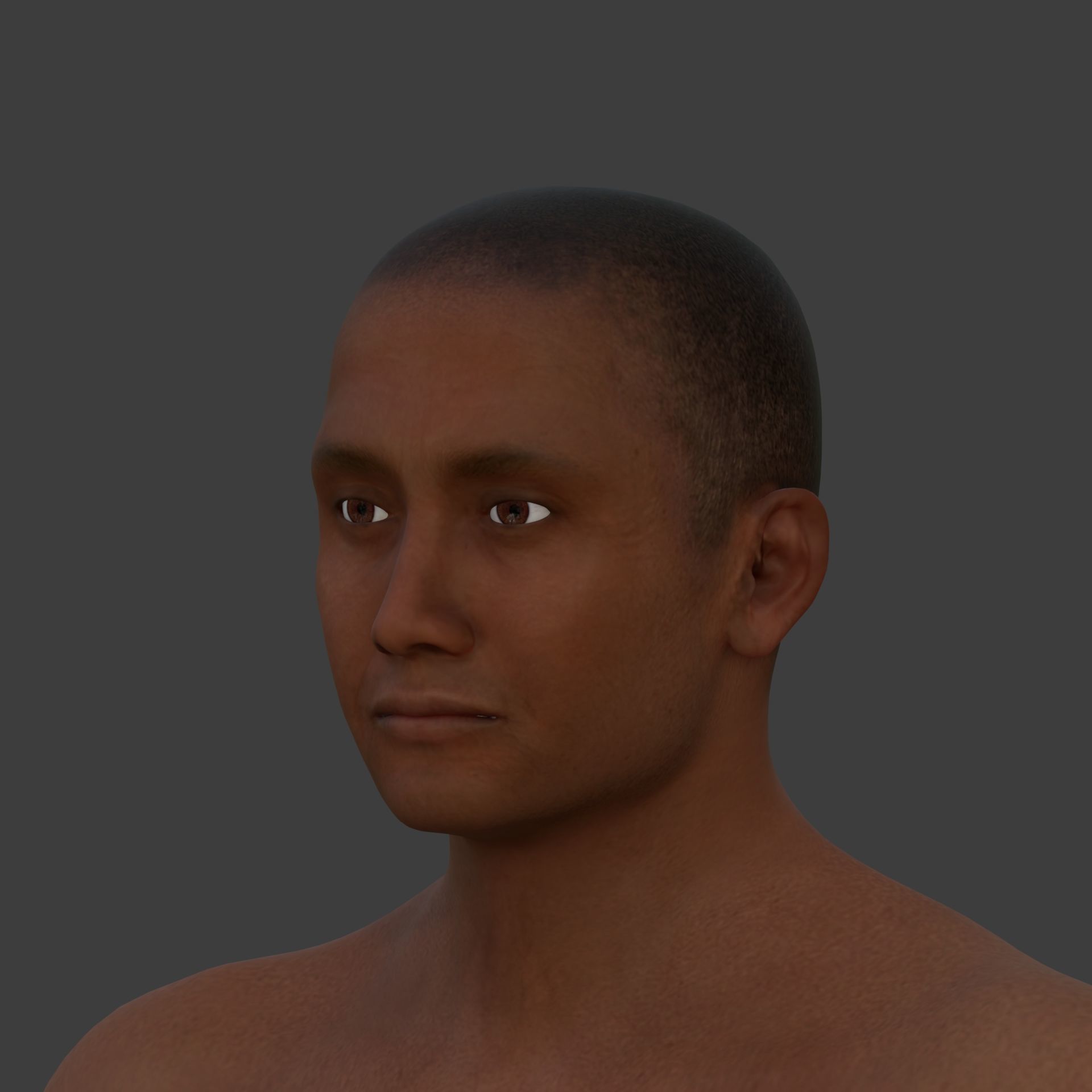 Athlete - MMA Fighter - UFC - Martial Art - Box - Kickboxing Low-poly 3D model_24