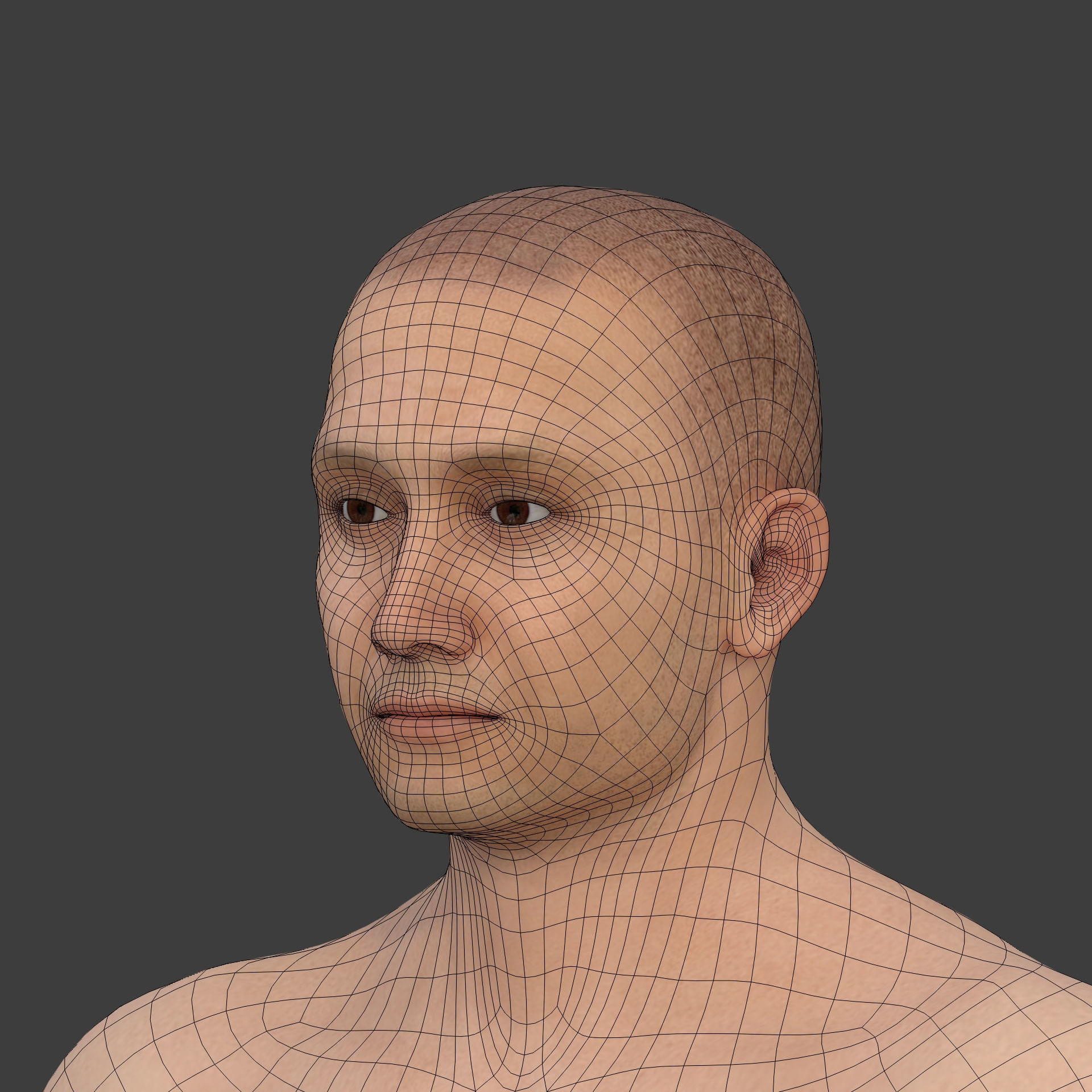 Athlete - MMA Fighter - UFC - Martial Art - Box - Kickboxing Low-poly 3D model_25