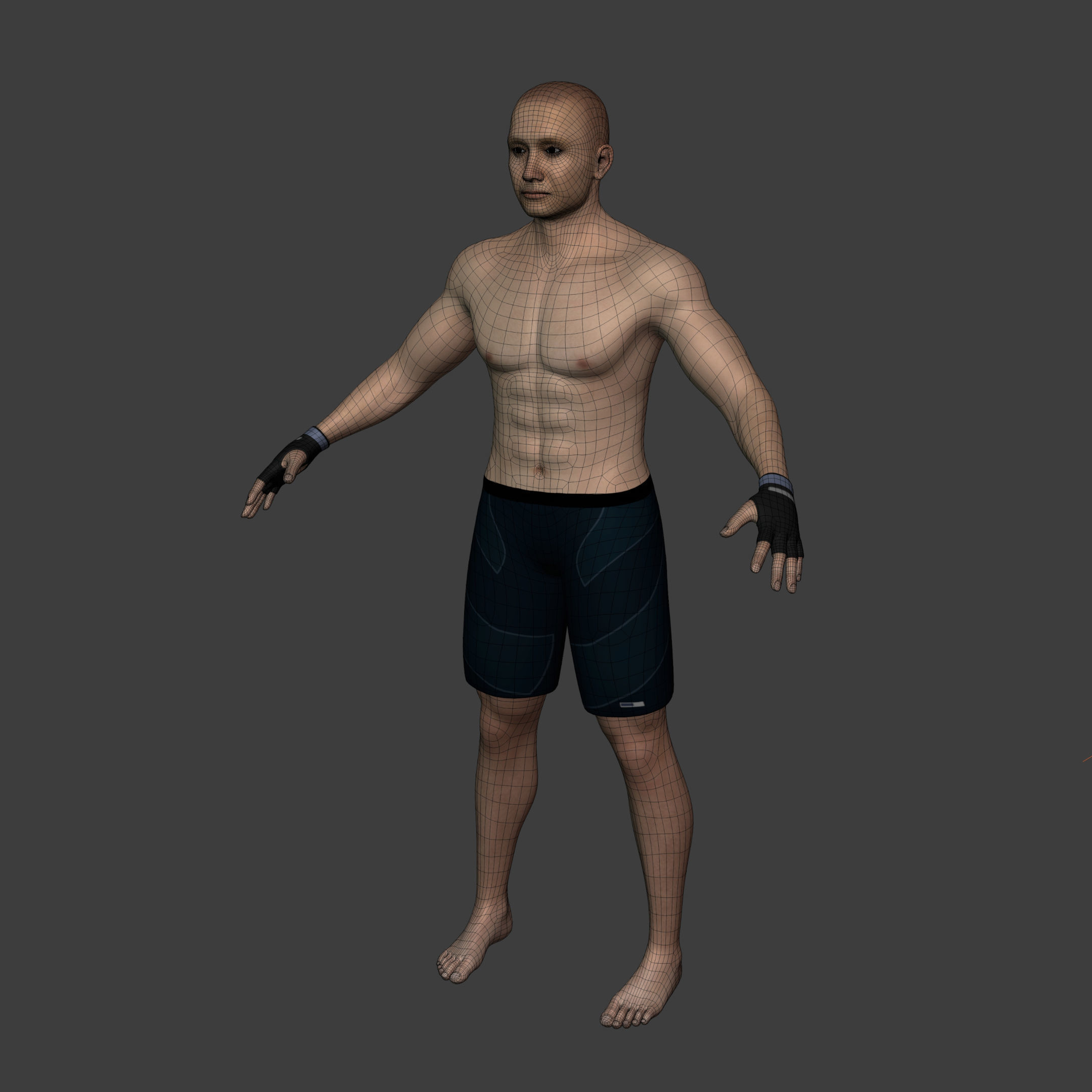 Athlete - MMA Fighter - UFC - Martial Art - Box - Kickboxing Low-poly 3D model_12