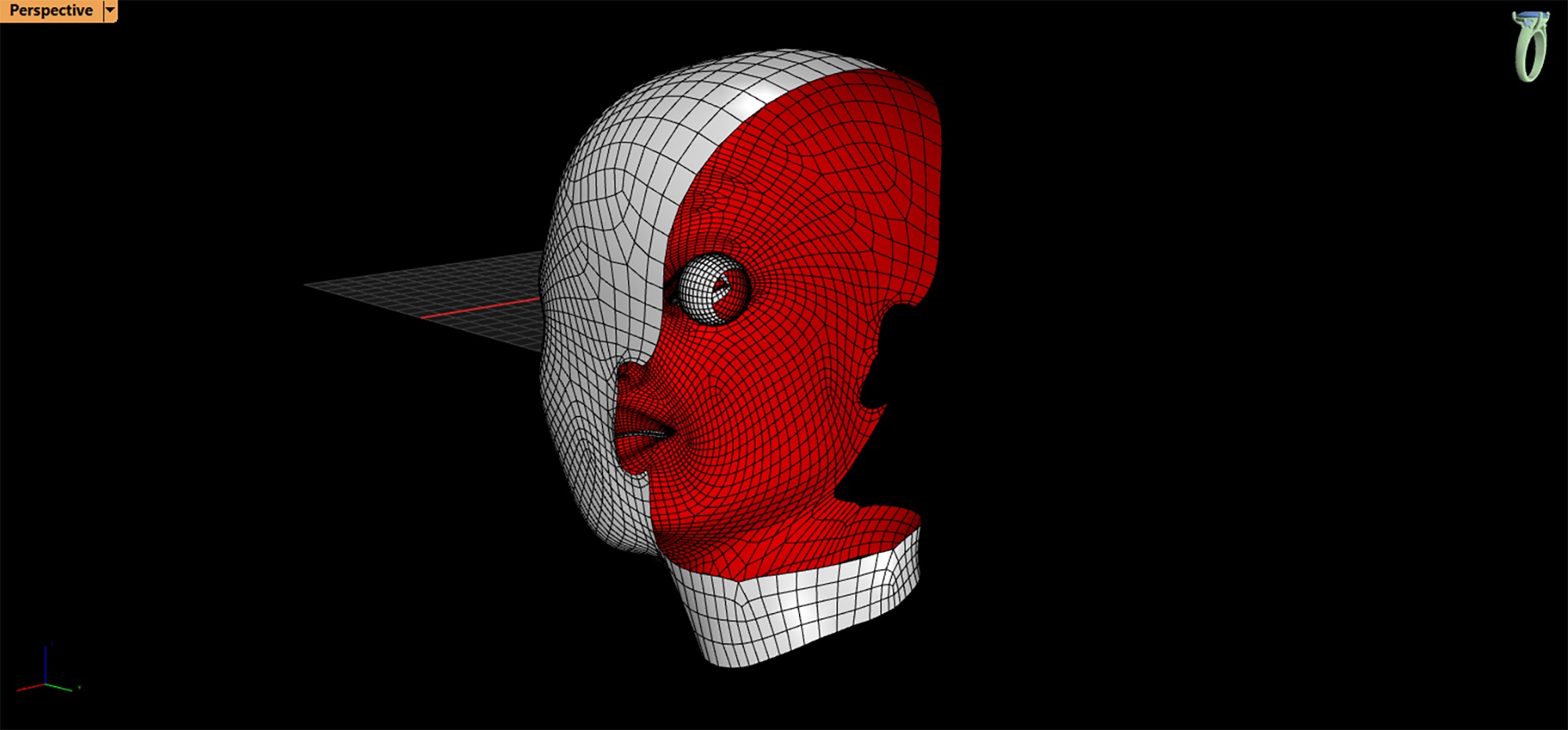 Real Size Head 3D model_9