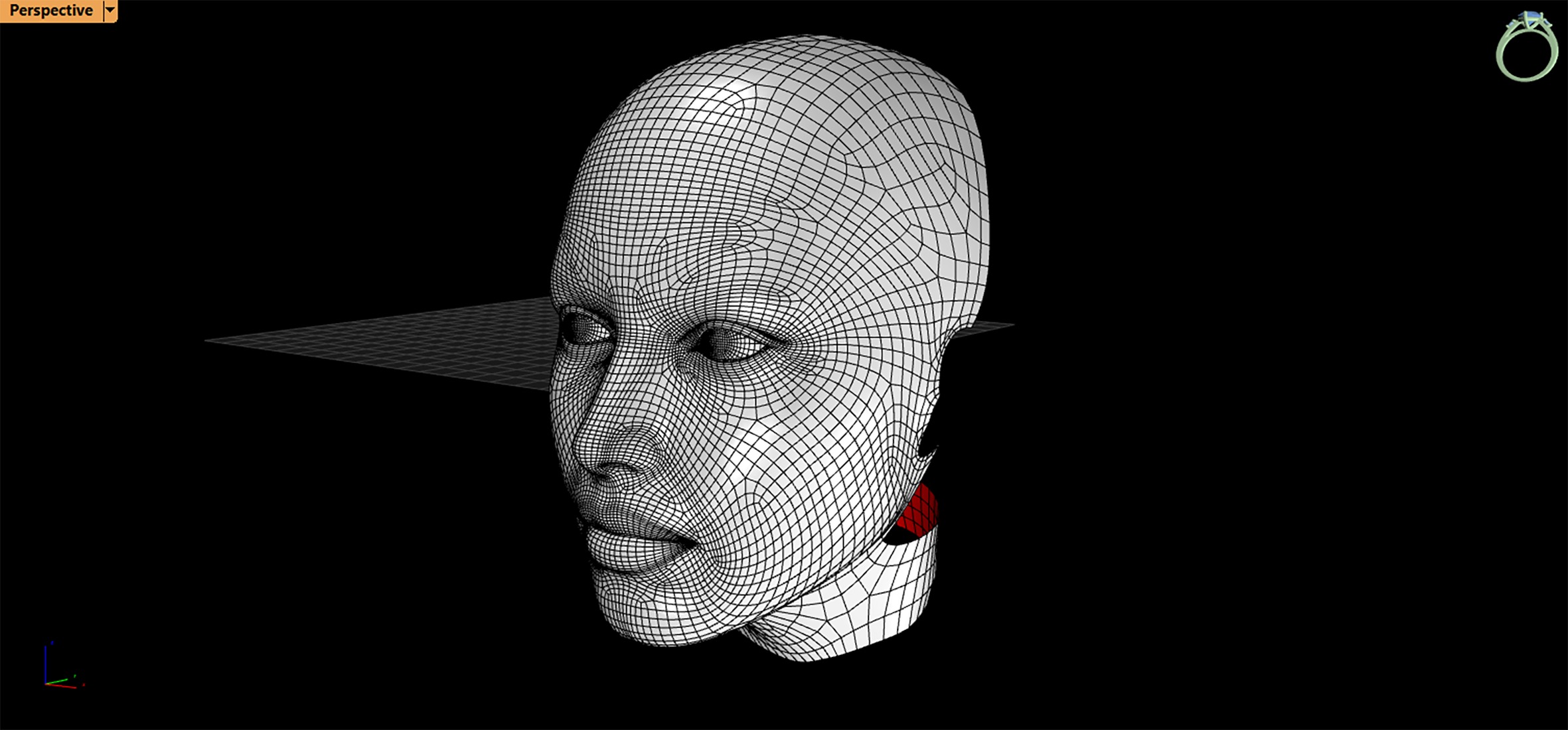 Real Size Head 3D model_7