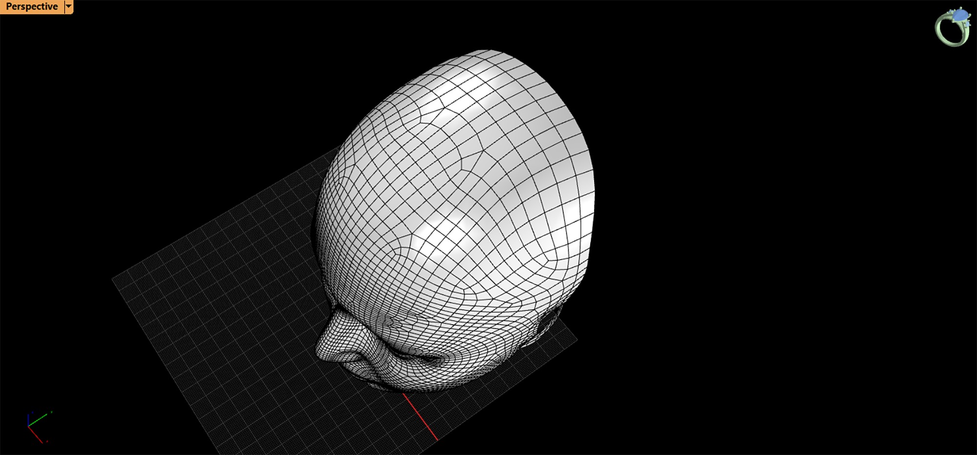 Real Size Head 3D model_8