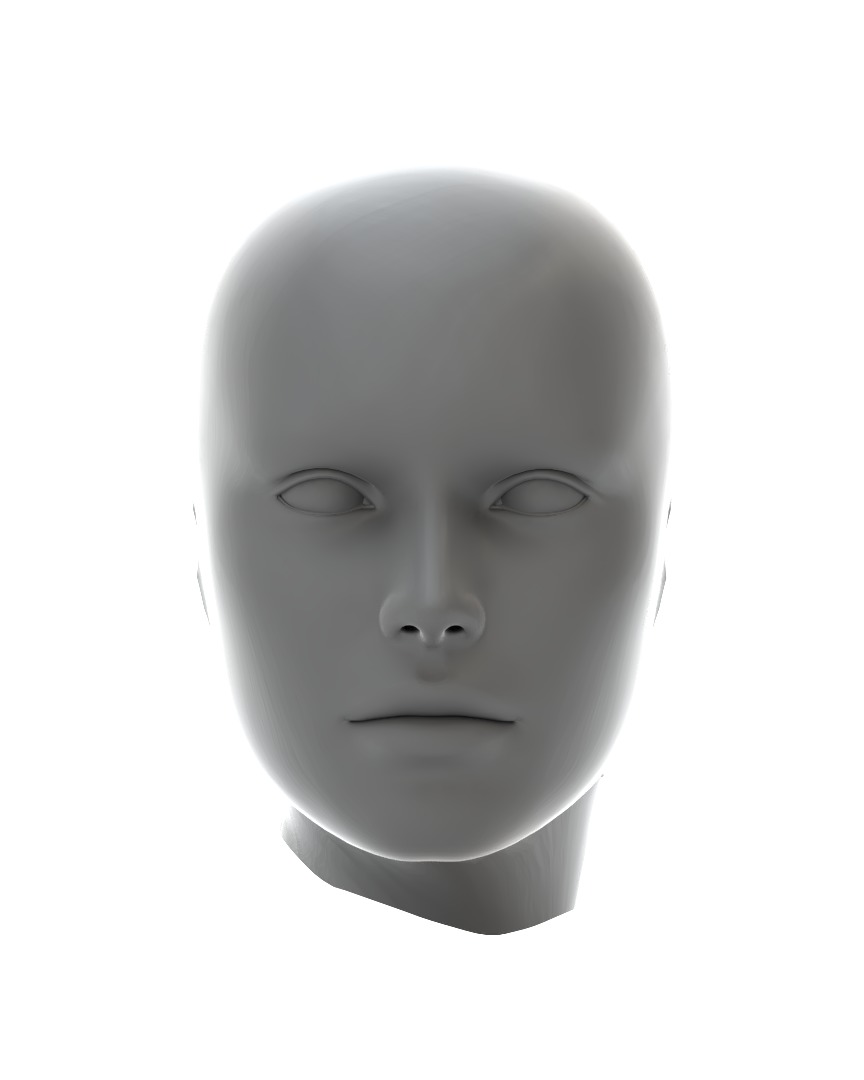 Real Size Head 3D model_2