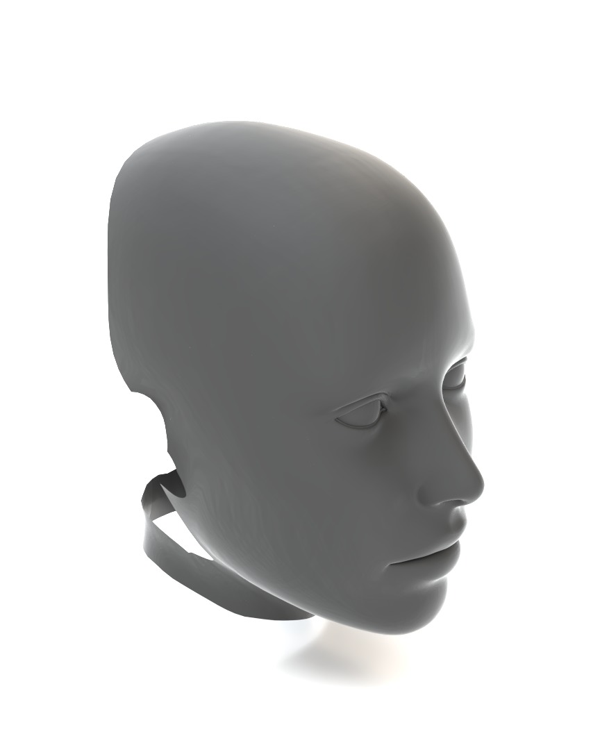 Real Size Head 3D model_1