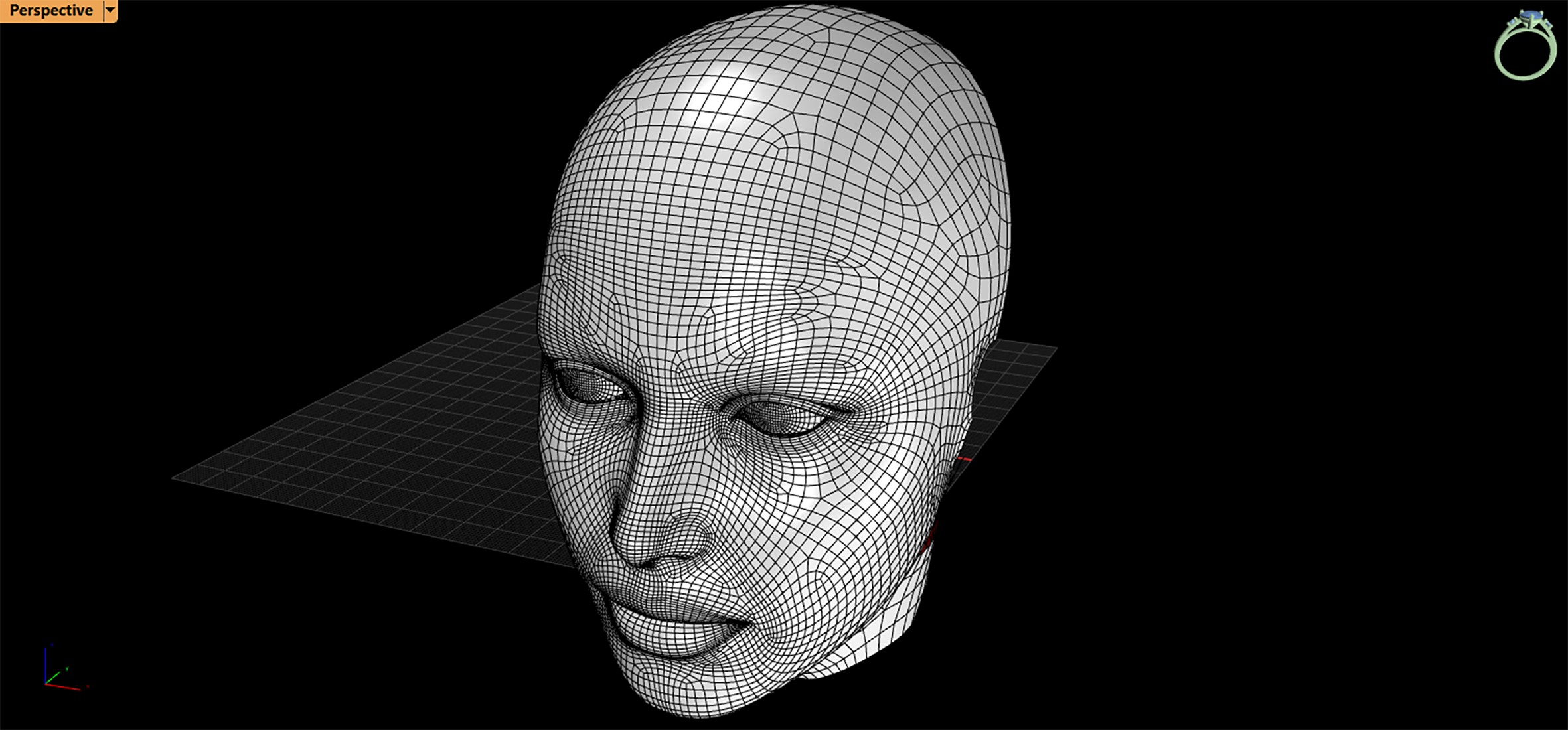 Real Size Head 3D model_4