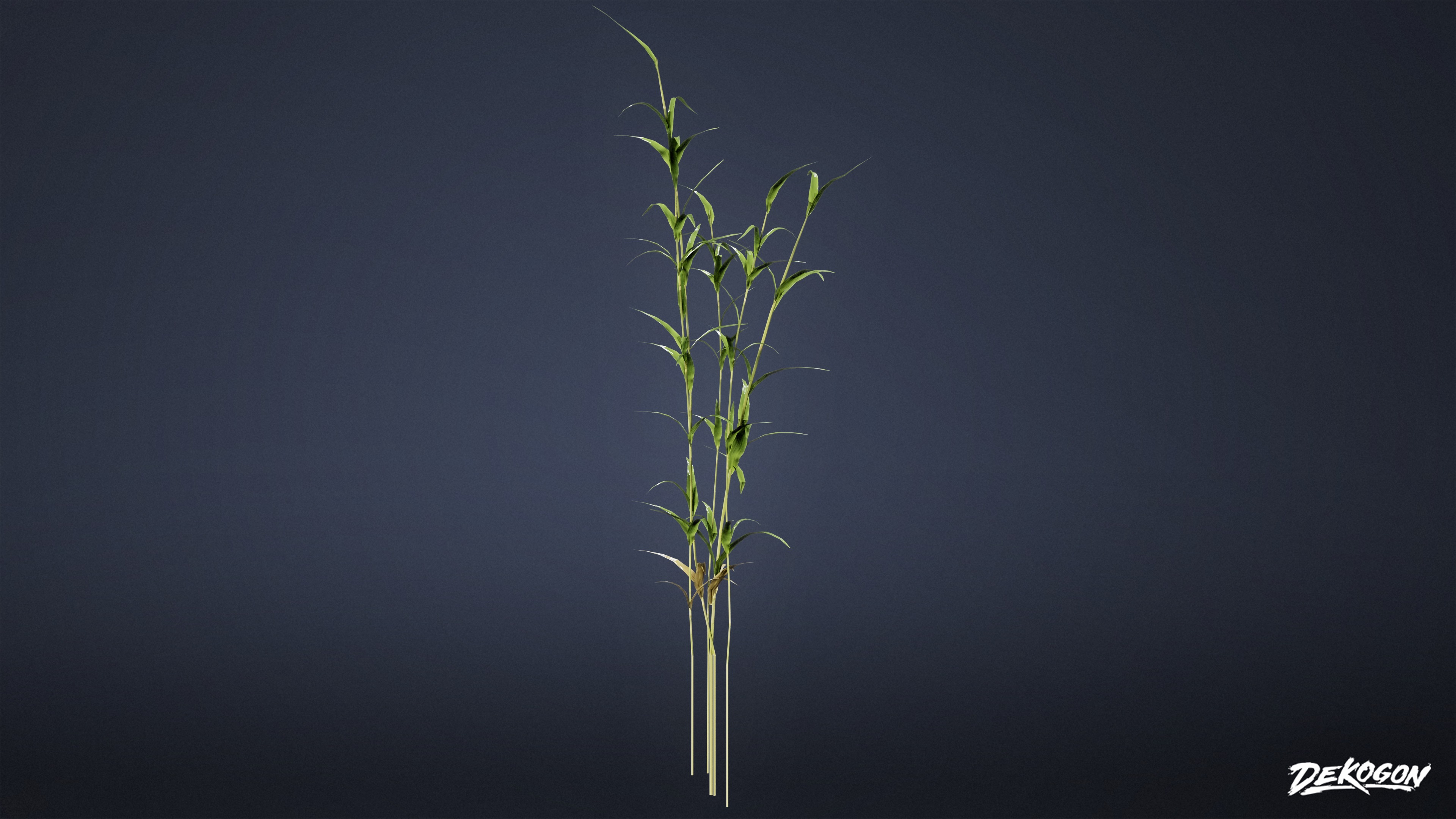 FOLIAGE - Water Stalks 01 - LOW POLY Low-poly 3D model_1